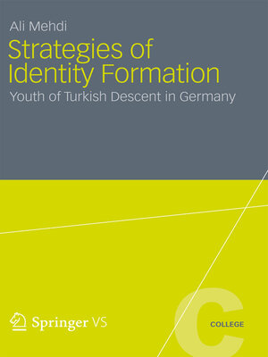 cover image of Strategies of Identity Formation